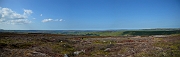 David Plant Photography - Wildlife Photography - North York Moors - B